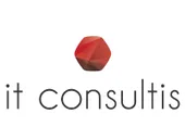 IT Consultis