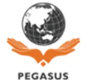 Pegasus