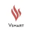 Vinsmart