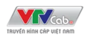 VTVcab